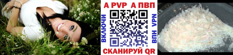 Alfa_PVP крисы CK Хасавюрт