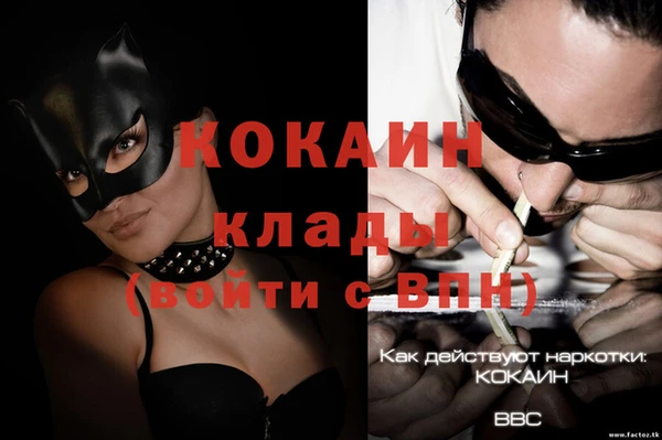 дживик Медвежьегорск