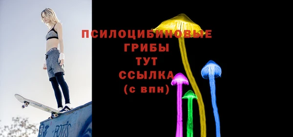 шишки Новочеркасск