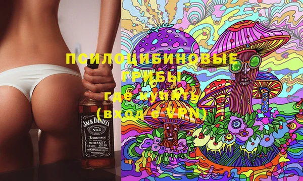дживик Медвежьегорск