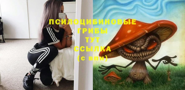 дживик Медвежьегорск
