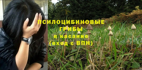 прущие грибы Уссурийск